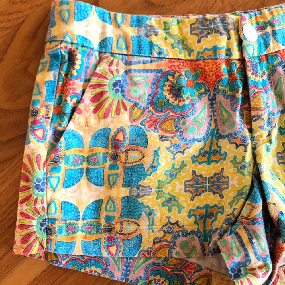 Multi Colored Summer Shorts Size 2 - Picture 3 of 4